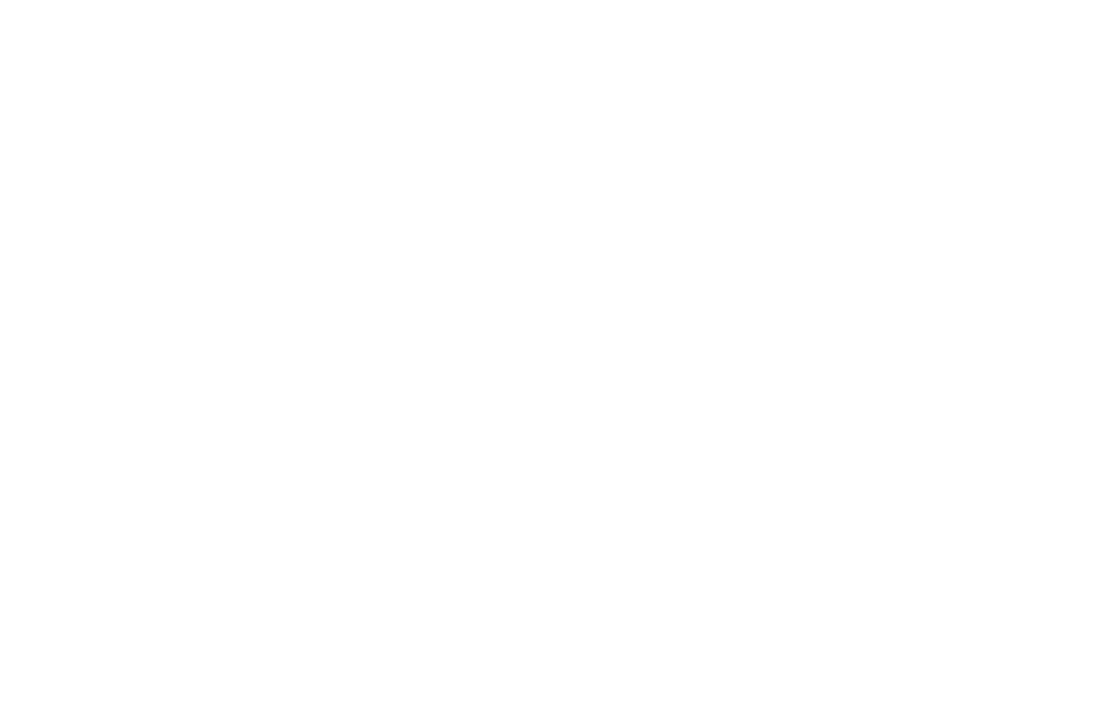 nycacquisitionstrategy.com